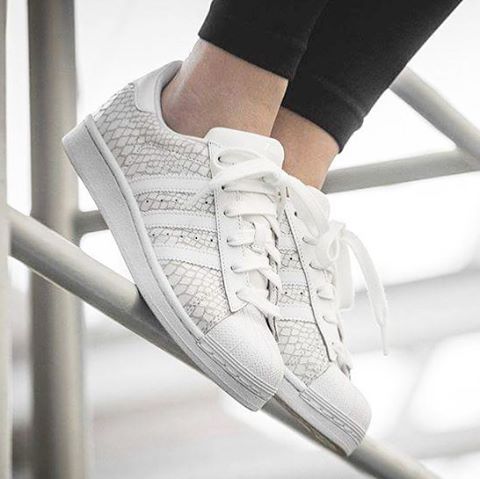 tennis adidas dentelle